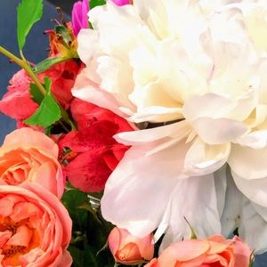 Meet your Posher, Michele